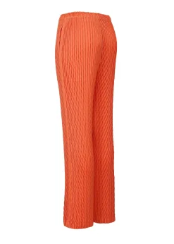 ISSEY MIYAKE Diffused Pleats Outlet