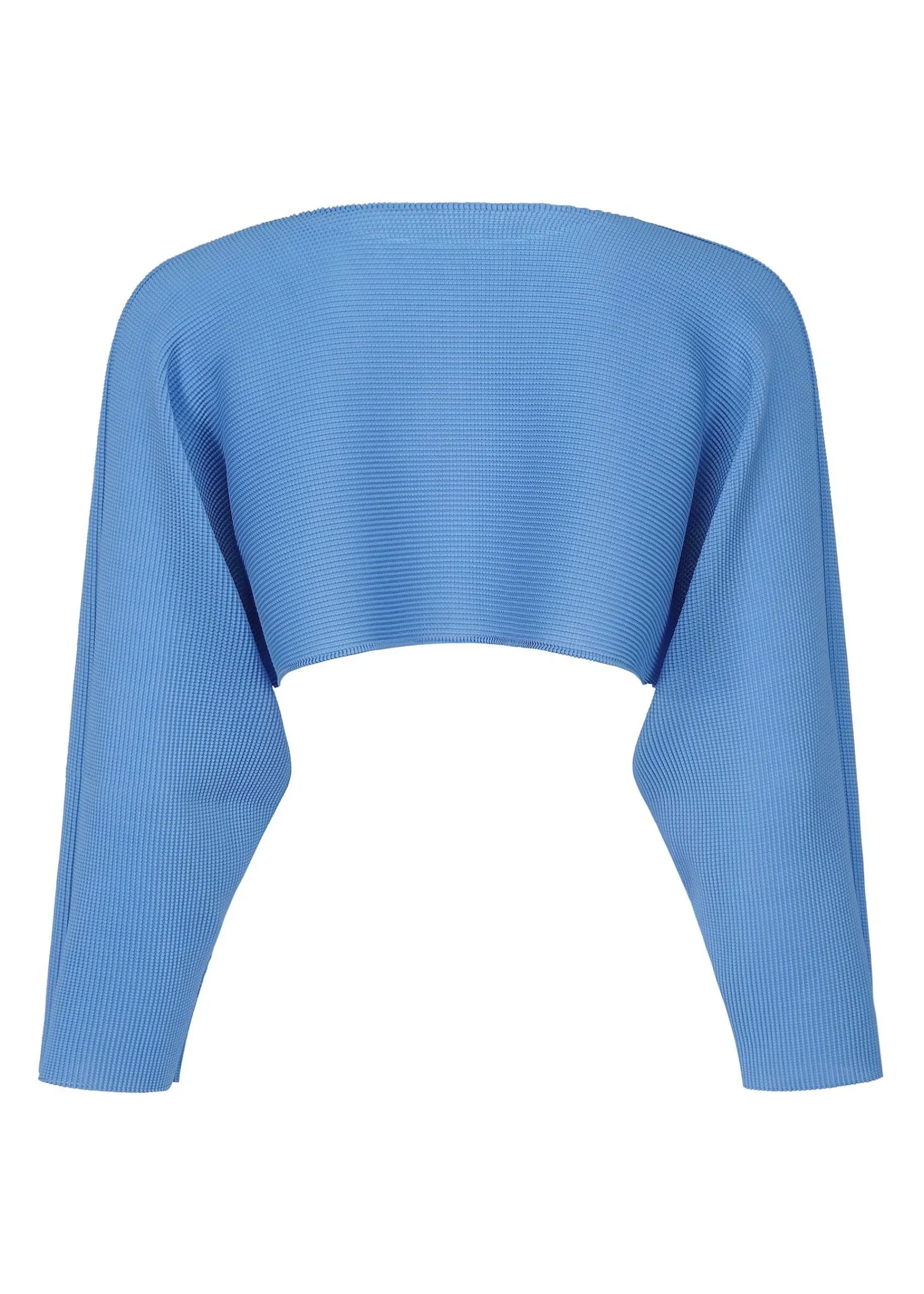 ISSEY MIYAKE Dolman Stretch Pleats 2 Fashion