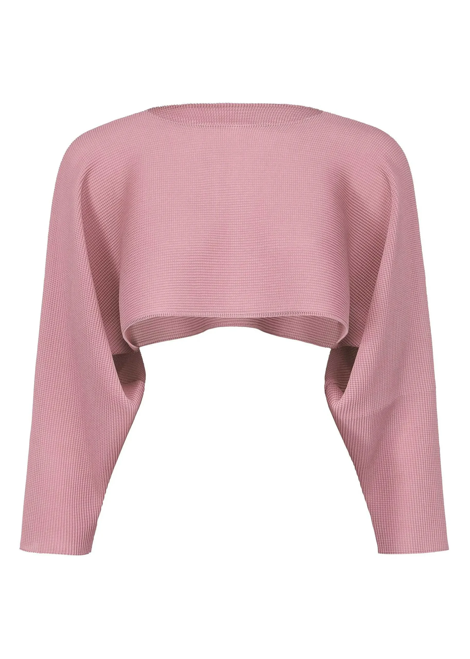 ISSEY MIYAKE Dolman Stretch Pleats 2 Fashion