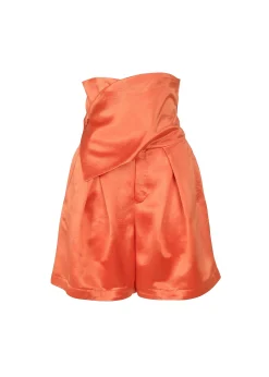 ISSEY MIYAKE Gleam Wide Pants Fashion