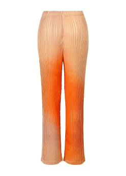 ISSEY MIYAKE Suffused Pleats Best