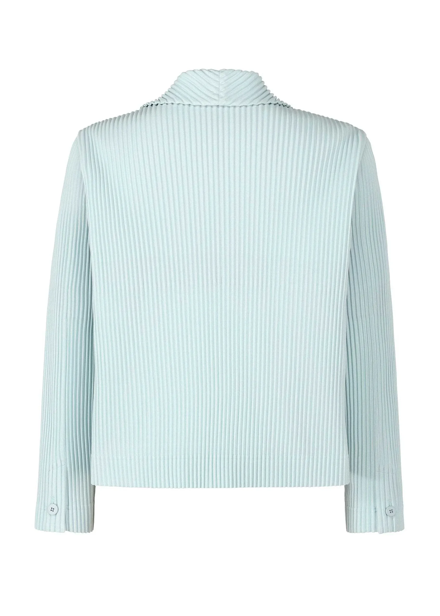 ISSEY MIYAKE Tailored Pleats 2 Best Sale