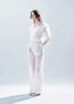 ISSEY MIYAKE Translucent Suit Best
