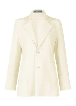 ISSEY MIYAKE Wide Stripe Knit Store